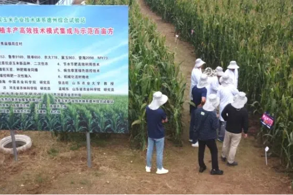 Eavision Assists in Higher Yields of Summer Corn in the Huang-Huai-Hai Region